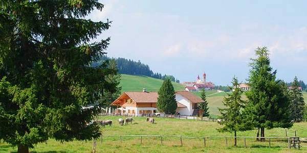 Monte San Pietro, la prima malga vegan del Trentino Alto Adige