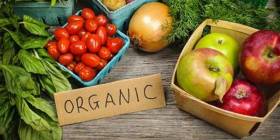 Il cibo biologico è più ricco di antiossidanti (e meno metalli pesanti)