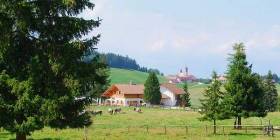 Monte San Pietro, la prima malga vegan del Trentino Alto Adige