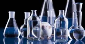 Alternative alla sperimentazione animale: sviluppati organi surrogati per i test di tossicità