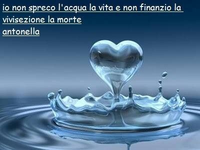 acqua